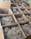 Chinese Supplier 100% Natural Health Bulk Vine tea Loose Leaves Wholesale Factory