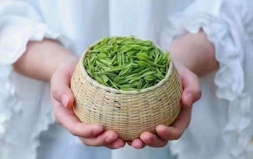 Natural Good Quality Organic Green Tea